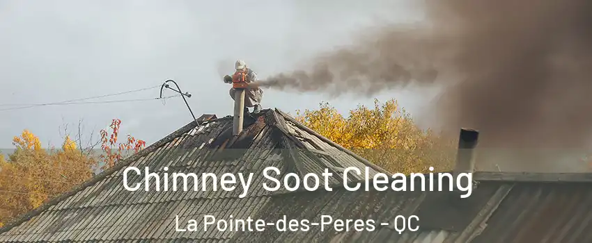  Chimney Soot Cleaning La Pointe-des-Peres - QC