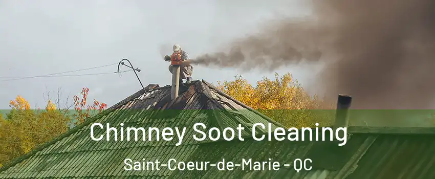  Chimney Soot Cleaning Saint-Coeur-de-Marie - QC