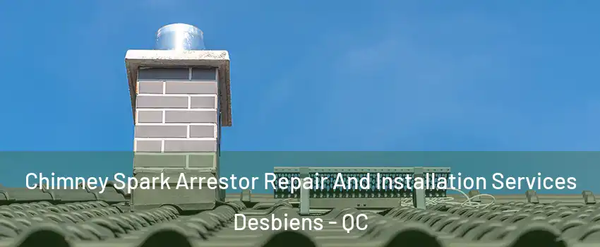  Chimney Spark Arrestor Repair And Installation Services Desbiens - QC