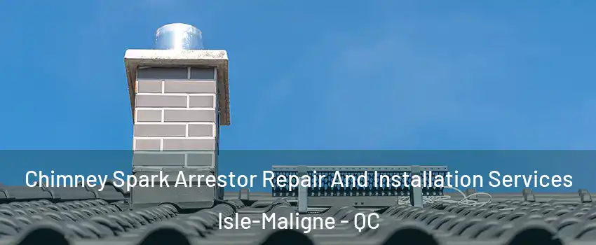  Chimney Spark Arrestor Repair And Installation Services Isle-Maligne - QC