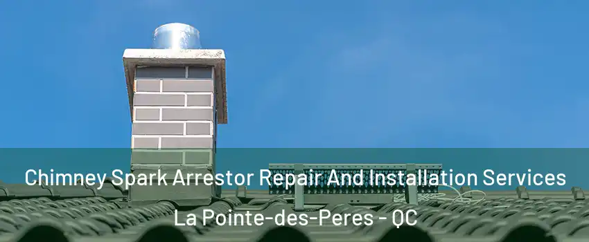 Chimney Spark Arrestor Repair And Installation Services La Pointe-des-Peres - QC