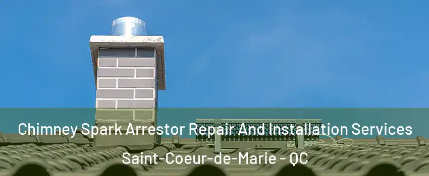  Chimney Spark Arrestor Repair And Installation Services Saint-Coeur-de-Marie - QC