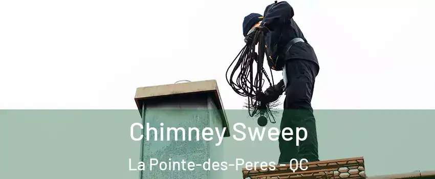  Chimney Sweep La Pointe-des-Peres - QC