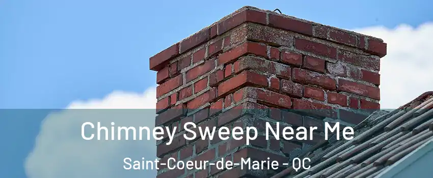  Chimney Sweep Near Me Saint-Coeur-de-Marie - QC