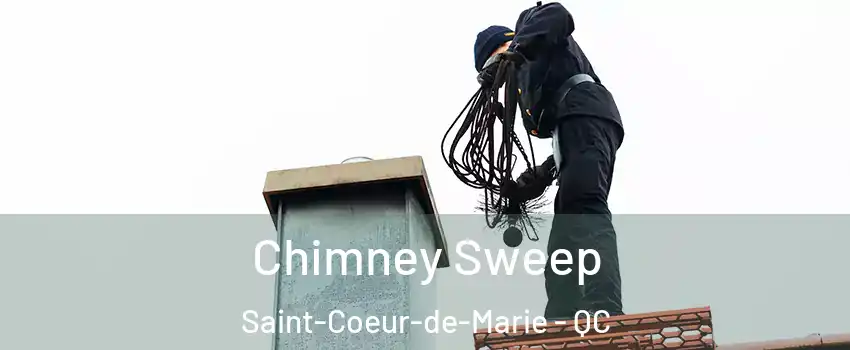  Chimney Sweep Saint-Coeur-de-Marie - QC
