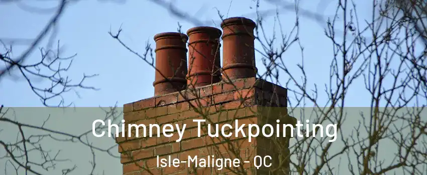  Chimney Tuckpointing Isle-Maligne - QC