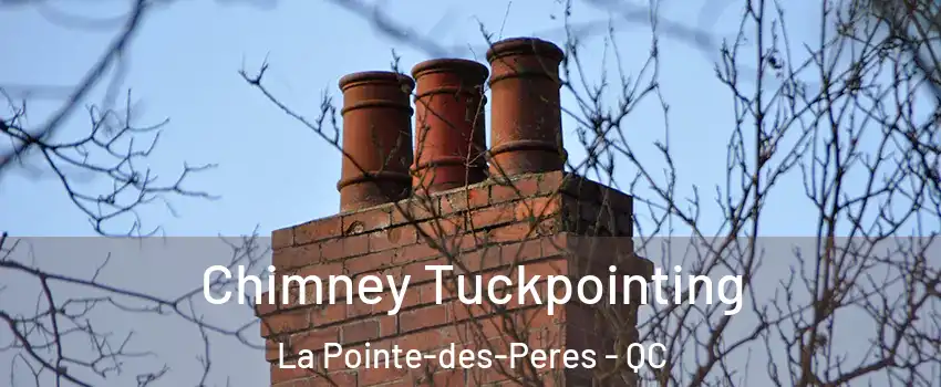  Chimney Tuckpointing La Pointe-des-Peres - QC