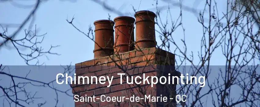  Chimney Tuckpointing Saint-Coeur-de-Marie - QC