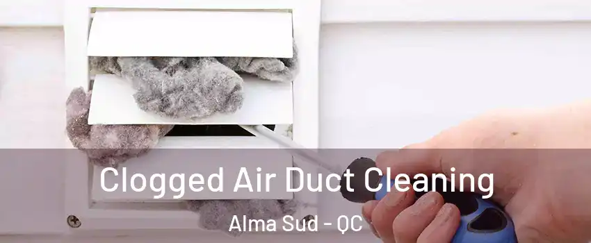  Clogged Air Duct Cleaning Alma Sud - QC