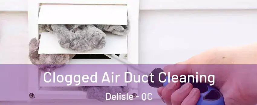  Clogged Air Duct Cleaning Delisle - QC