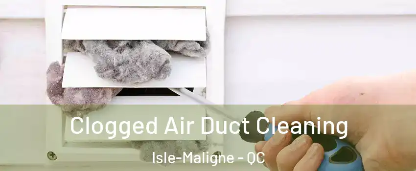  Clogged Air Duct Cleaning Isle-Maligne - QC