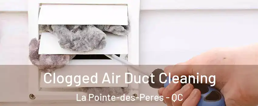  Clogged Air Duct Cleaning La Pointe-des-Peres - QC