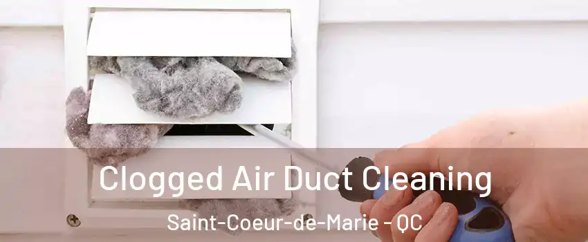  Clogged Air Duct Cleaning Saint-Coeur-de-Marie - QC