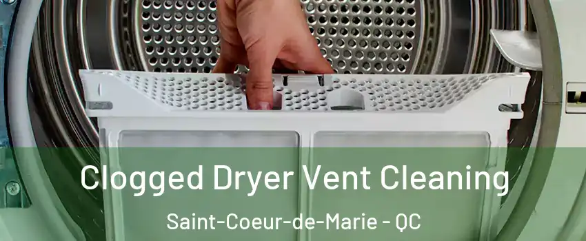 Clogged Dryer Vent Cleaning Saint-Coeur-de-Marie - QC