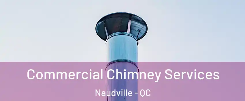  Commercial Chimney Services Naudville - QC