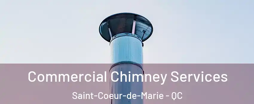  Commercial Chimney Services Saint-Coeur-de-Marie - QC