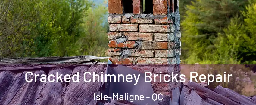  Cracked Chimney Bricks Repair Isle-Maligne - QC