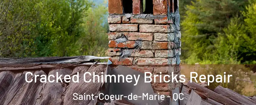  Cracked Chimney Bricks Repair Saint-Coeur-de-Marie - QC