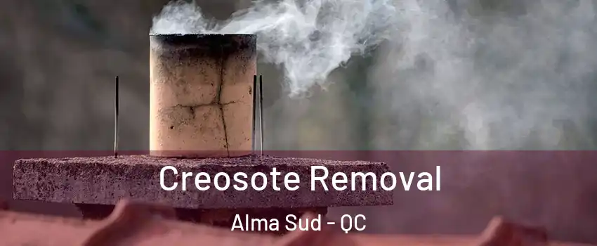  Creosote Removal Alma Sud - QC