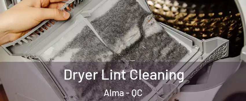  Dryer Lint Cleaning Alma - QC