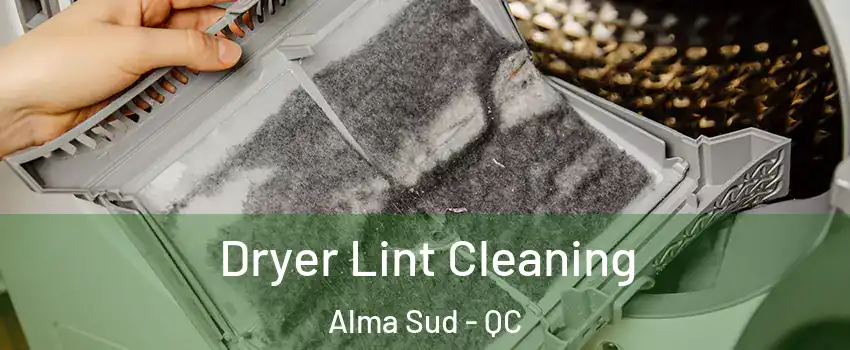  Dryer Lint Cleaning Alma Sud - QC