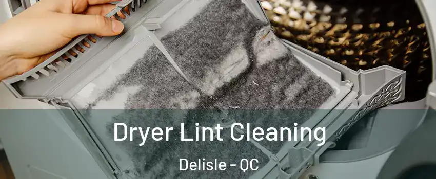  Dryer Lint Cleaning Delisle - QC