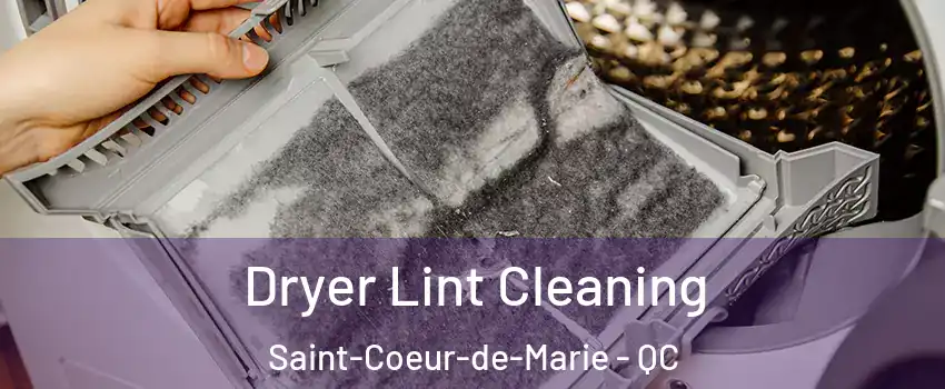 Dryer Lint Cleaning Saint-Coeur-de-Marie - QC
