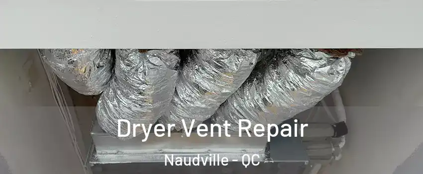  Dryer Vent Repair Naudville - QC