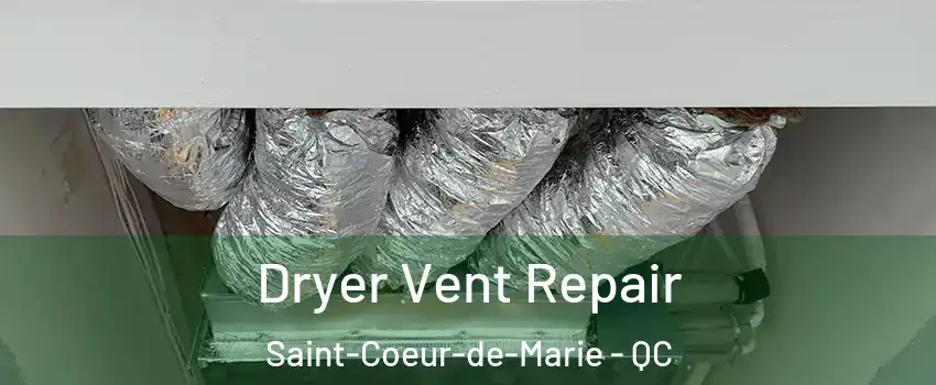  Dryer Vent Repair Saint-Coeur-de-Marie - QC