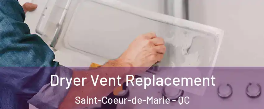  Dryer Vent Replacement Saint-Coeur-de-Marie - QC