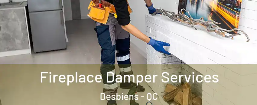  Fireplace Damper Services Desbiens - QC