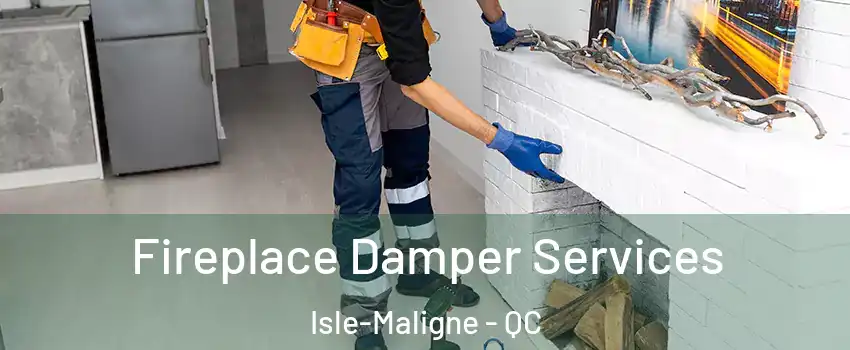  Fireplace Damper Services Isle-Maligne - QC
