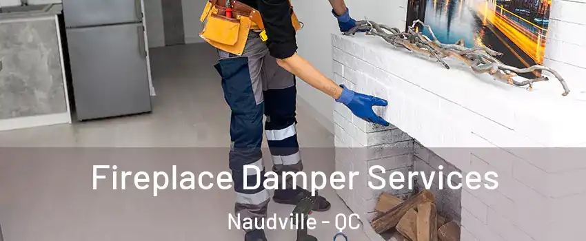  Fireplace Damper Services Naudville - QC