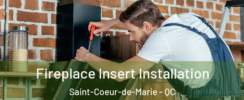  Fireplace Insert Installation Saint-Coeur-de-Marie - QC