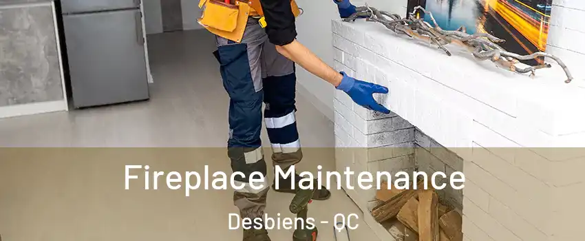  Fireplace Maintenance Desbiens - QC