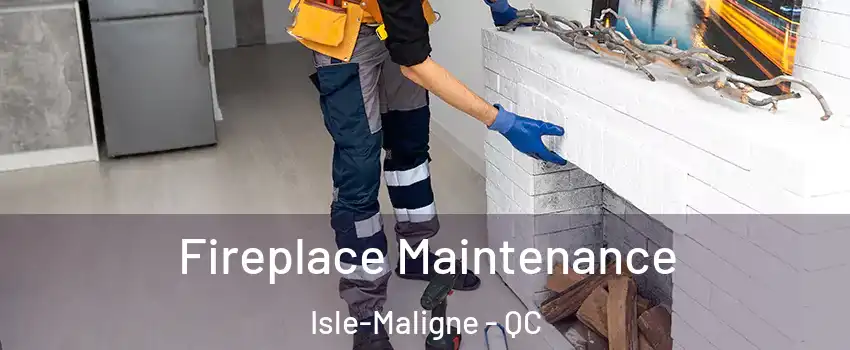  Fireplace Maintenance Isle-Maligne - QC