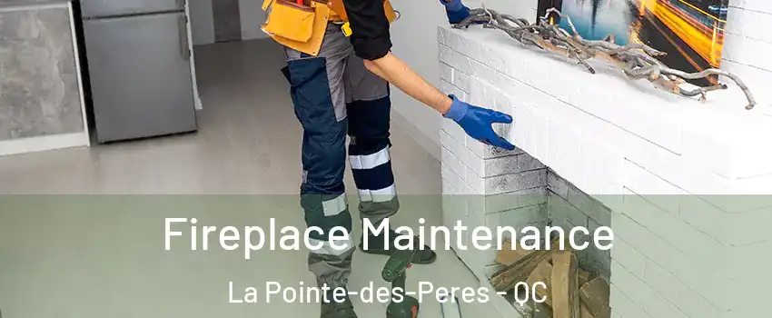  Fireplace Maintenance La Pointe-des-Peres - QC