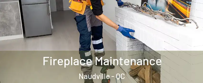  Fireplace Maintenance Naudville - QC
