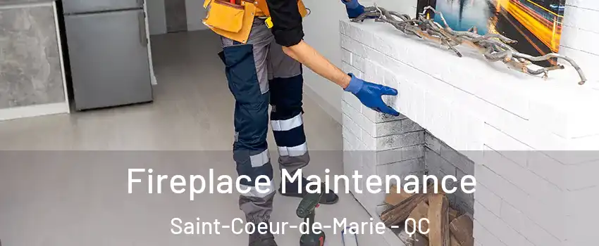  Fireplace Maintenance Saint-Coeur-de-Marie - QC