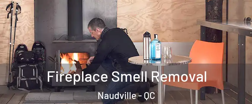  Fireplace Smell Removal Naudville - QC
