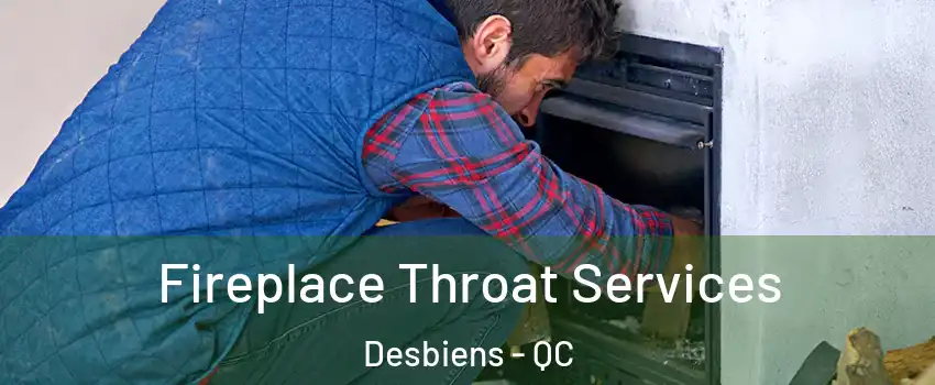  Fireplace Throat Services Desbiens - QC