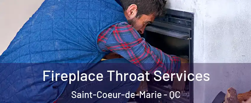  Fireplace Throat Services Saint-Coeur-de-Marie - QC