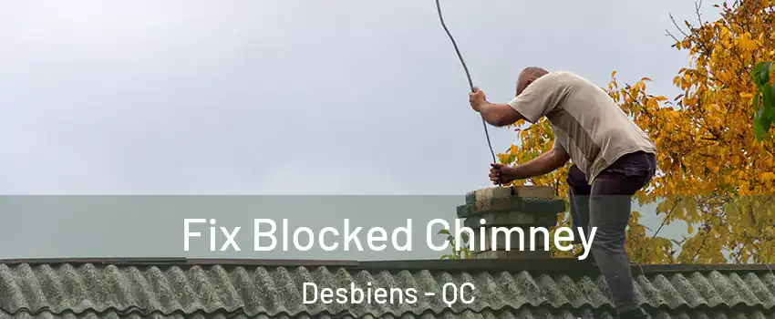  Fix Blocked Chimney Desbiens - QC