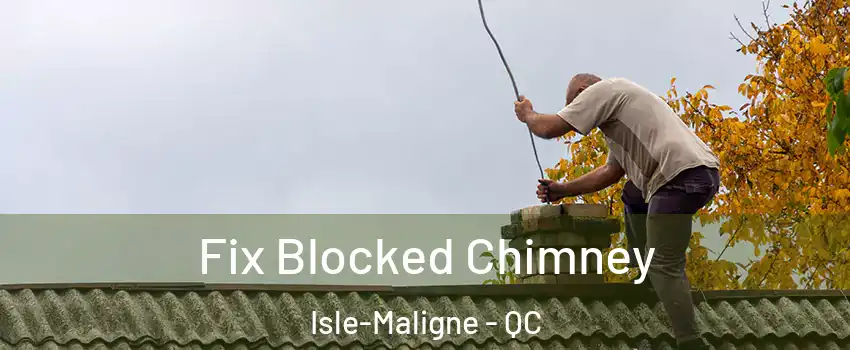  Fix Blocked Chimney Isle-Maligne - QC