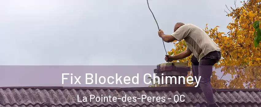  Fix Blocked Chimney La Pointe-des-Peres - QC