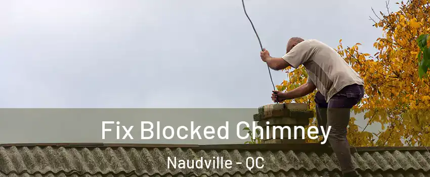  Fix Blocked Chimney Naudville - QC
