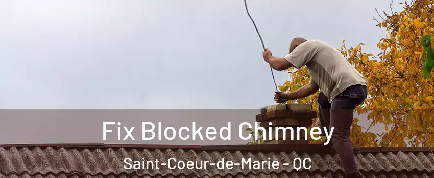  Fix Blocked Chimney Saint-Coeur-de-Marie - QC