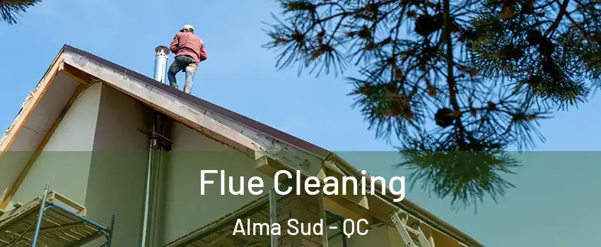  Flue Cleaning Alma Sud - QC