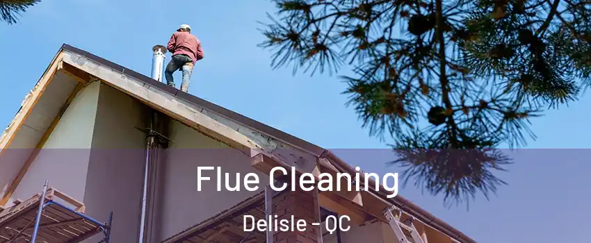  Flue Cleaning Delisle - QC