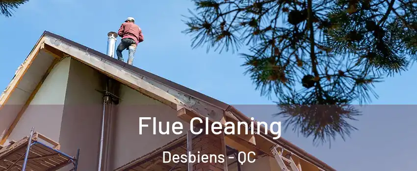  Flue Cleaning Desbiens - QC